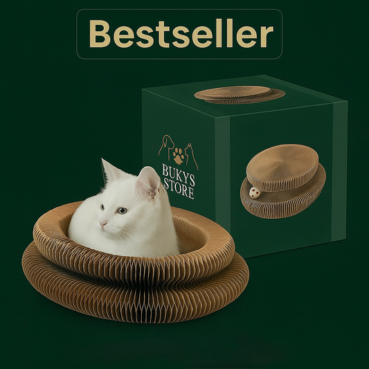 Katzenwirbel – das 3-in-1 Spielzeug