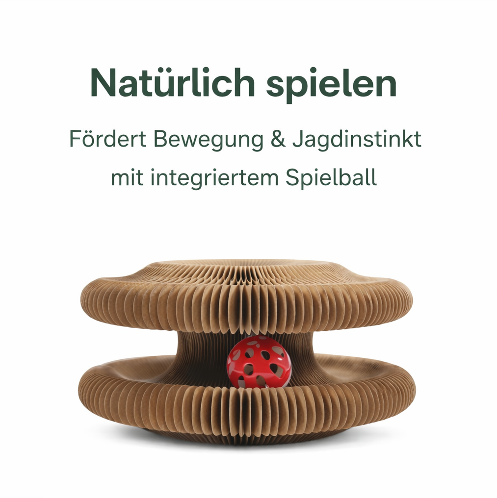 Katzenwirbel – das 3-in-1 Spielzeug