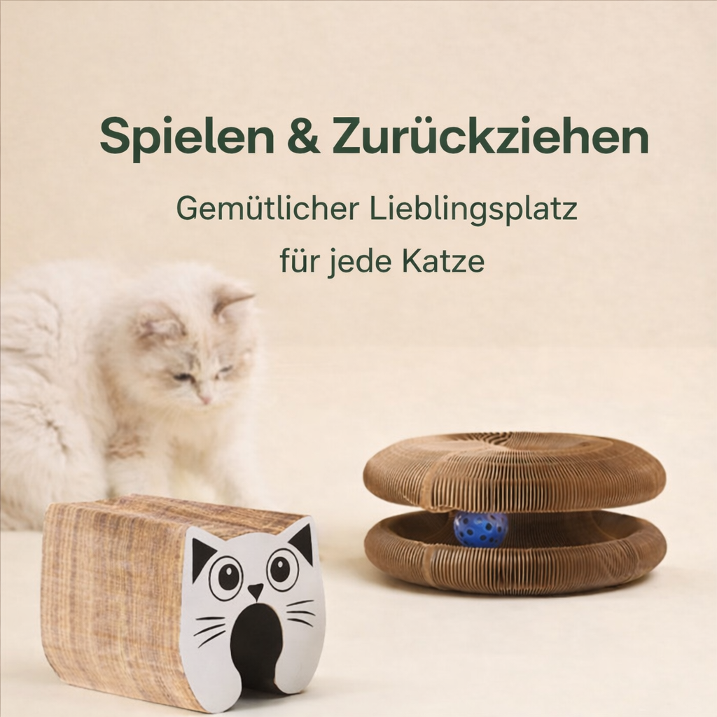 Katzenwirbel – das 3-in-1 Spielzeug